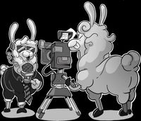 A llama presenter speaking into a microphone in front of a camera, which is being operated by a llama camera person